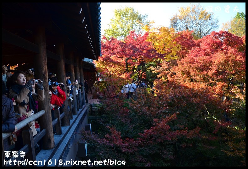 【日本旅遊】京都大阪賞楓自由行．東福寺．楓姿卓越 @假日農夫愛趴趴照