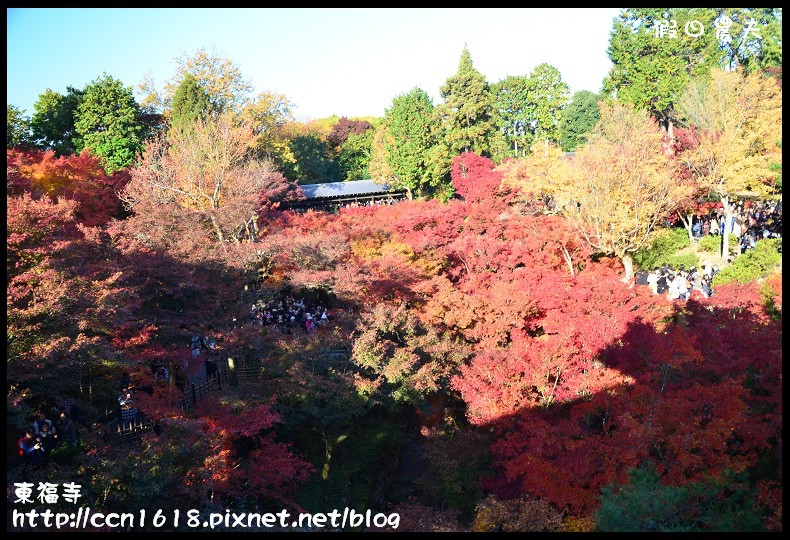 【日本旅遊】京都大阪賞楓自由行．東福寺．楓姿卓越 @假日農夫愛趴趴照