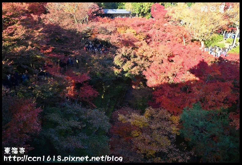 【日本旅遊】京都大阪賞楓自由行．東福寺．楓姿卓越 @假日農夫愛趴趴照