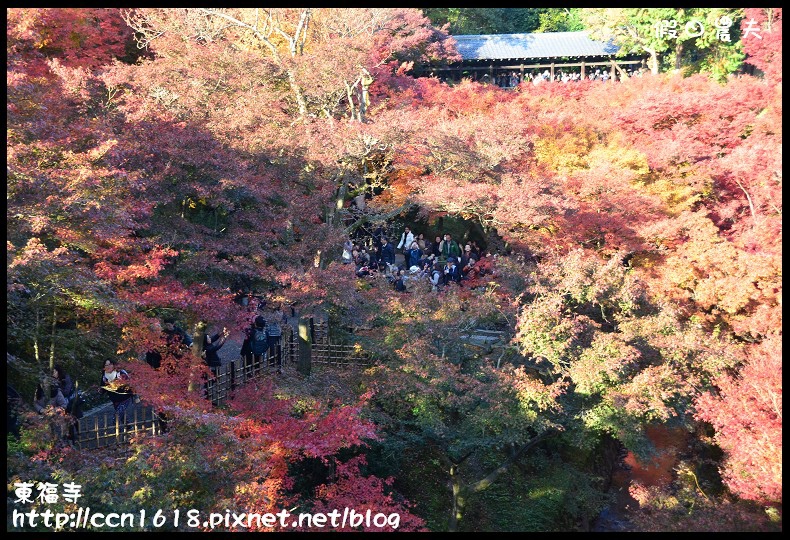 【日本旅遊】京都大阪賞楓自由行．東福寺．楓姿卓越 @假日農夫愛趴趴照