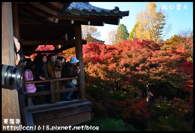 【日本旅遊】京都大阪賞楓自由行．東福寺．楓姿卓越 @假日農夫愛趴趴照