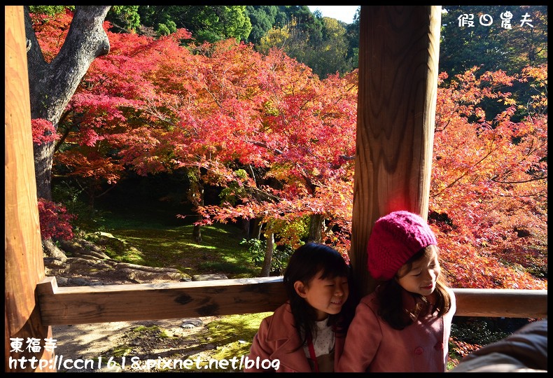 【日本旅遊】京都大阪賞楓自由行．東福寺．楓姿卓越 @假日農夫愛趴趴照