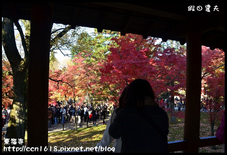 【日本旅遊】京都大阪賞楓自由行．東福寺．楓姿卓越 @假日農夫愛趴趴照