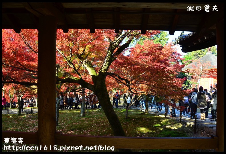 【日本旅遊】京都大阪賞楓自由行．東福寺．楓姿卓越 @假日農夫愛趴趴照