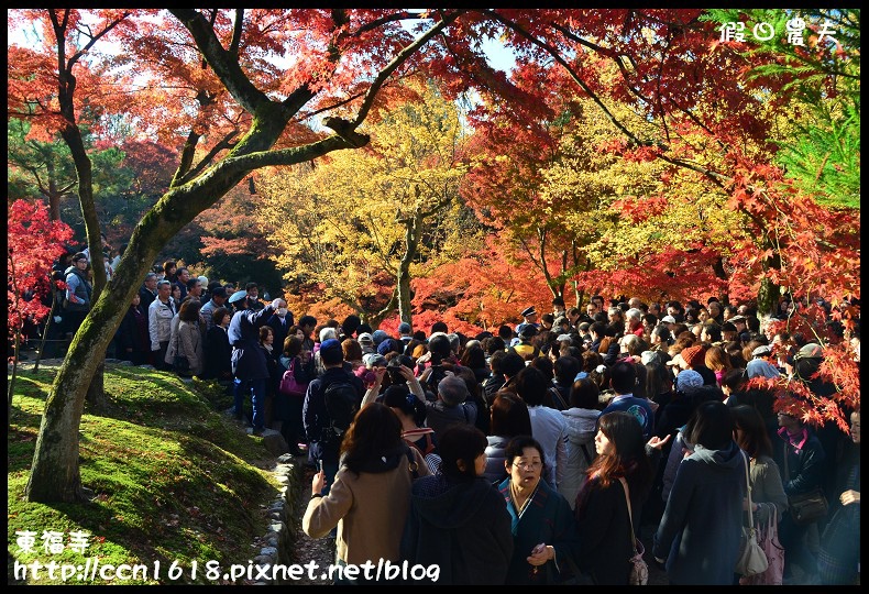 【日本旅遊】京都大阪賞楓自由行．東福寺．楓姿卓越 @假日農夫愛趴趴照