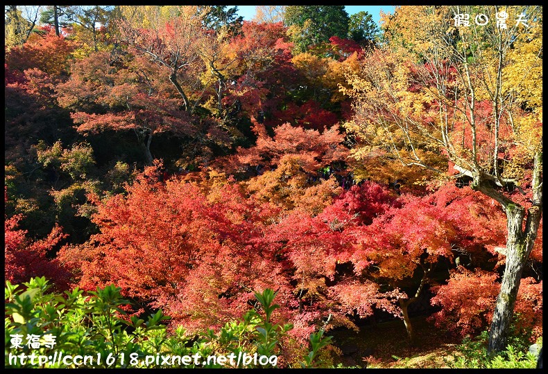 【日本旅遊】京都大阪賞楓自由行．東福寺．楓姿卓越 @假日農夫愛趴趴照