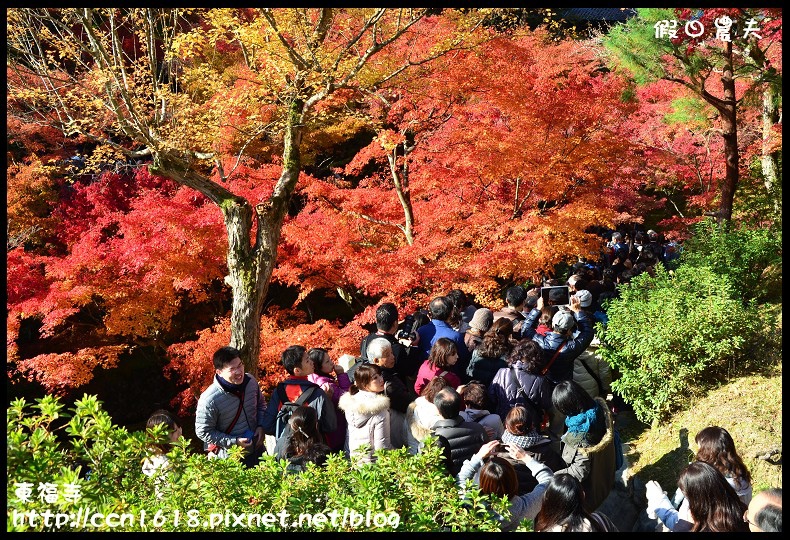 【日本旅遊】京都大阪賞楓自由行．東福寺．楓姿卓越 @假日農夫愛趴趴照