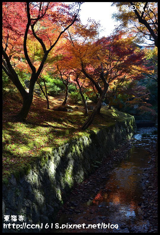 【日本旅遊】京都大阪賞楓自由行．東福寺．楓姿卓越 @假日農夫愛趴趴照