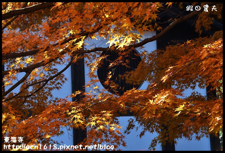 【日本旅遊】京都大阪賞楓自由行．東福寺．楓姿卓越 @假日農夫愛趴趴照