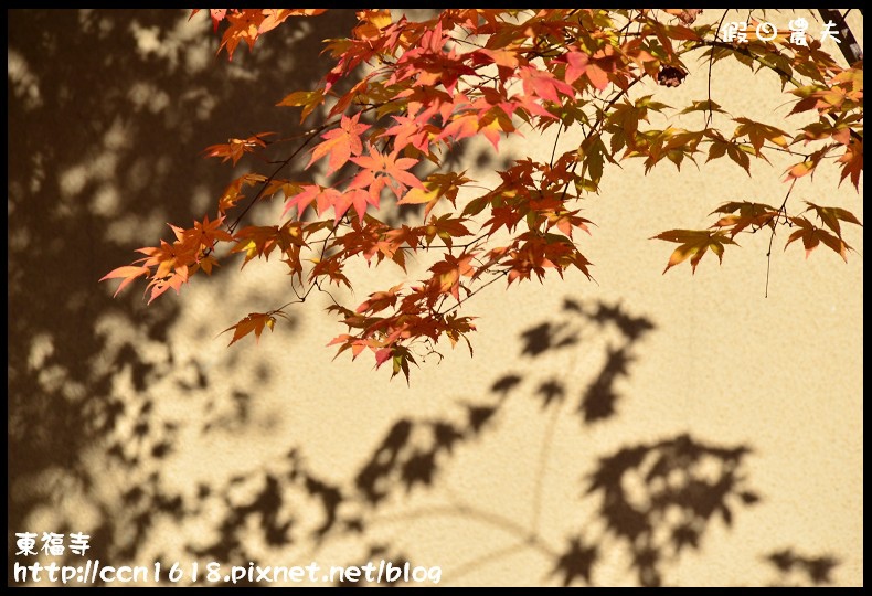 【日本旅遊】京都大阪賞楓自由行．東福寺．楓姿卓越 @假日農夫愛趴趴照