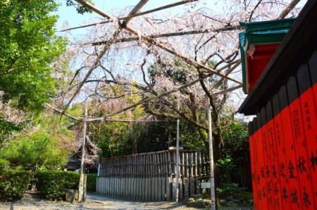 【日本旅遊】京都大阪賞櫻自由行．行前準備 @假日農夫愛趴趴照