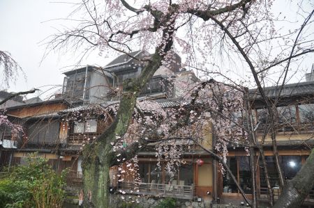 【日本旅遊】京都大阪賞櫻自由行．行前準備 @假日農夫愛趴趴照