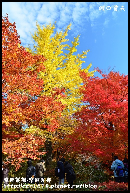 【日本旅遊】HORIZON Wi-Fi 行動上網分享器‧日本自助旅遊的新選擇 @假日農夫愛趴趴照