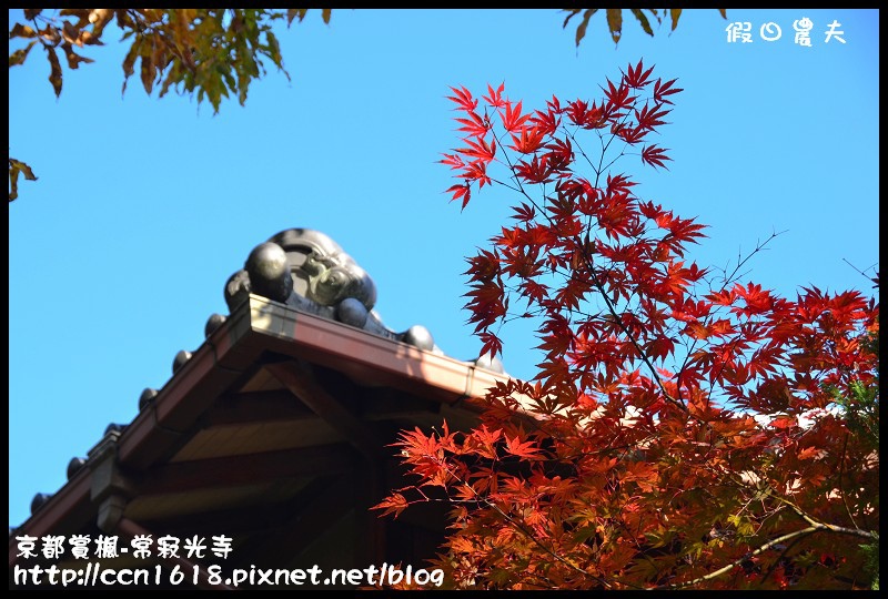 【日本旅遊】京都大阪賞楓自由行‧嵐山常寂光寺‧楓華絕代 @假日農夫愛趴趴照