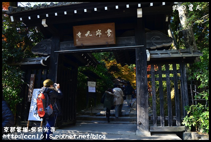 【日本旅遊】京都大阪賞楓自由行‧嵐山常寂光寺‧楓華絕代 @假日農夫愛趴趴照