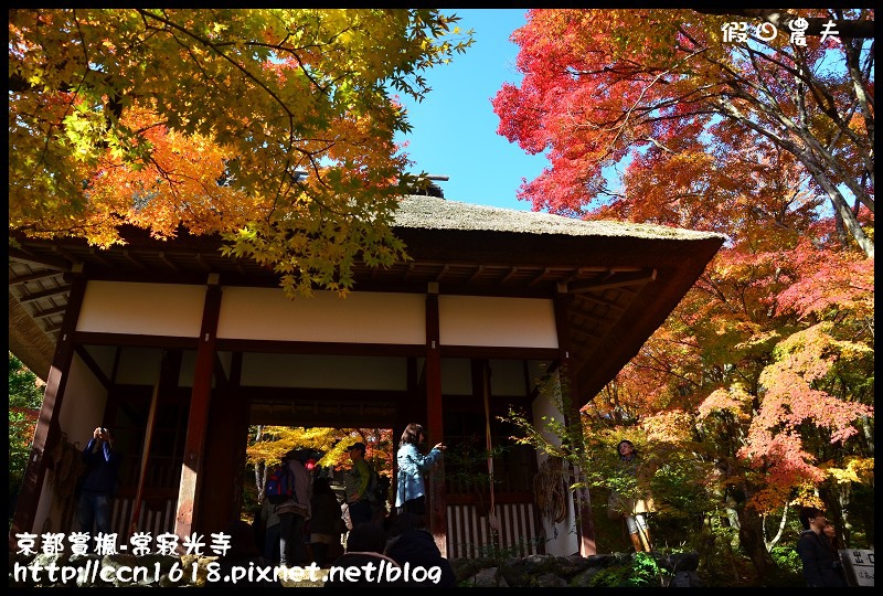 【日本旅遊】京都大阪賞楓自由行‧嵐山常寂光寺‧楓華絕代 @假日農夫愛趴趴照