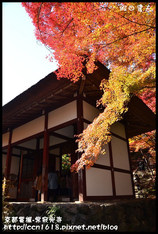 【日本旅遊】京都大阪賞楓自由行‧嵐山常寂光寺‧楓華絕代 @假日農夫愛趴趴照