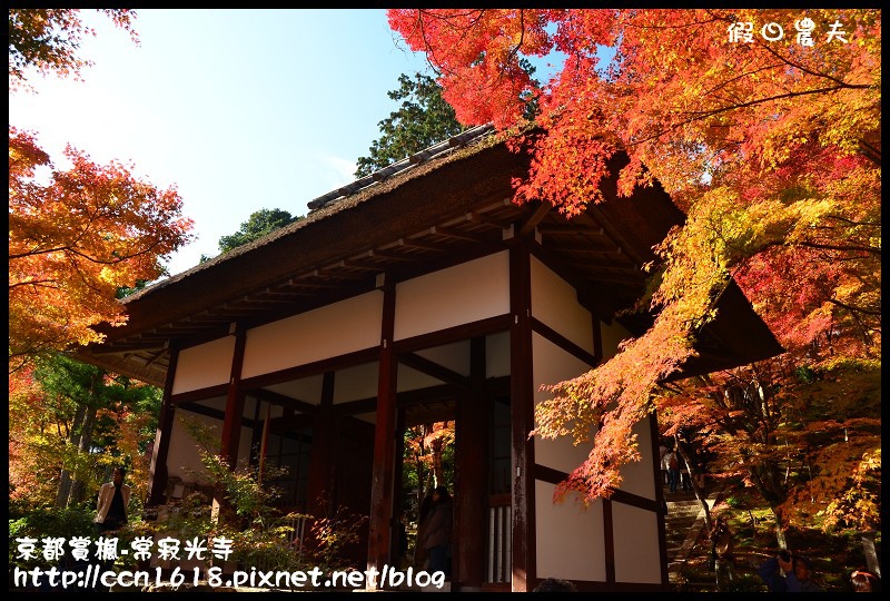 【日本旅遊】京都大阪賞楓自由行‧嵐山常寂光寺‧楓華絕代 @假日農夫愛趴趴照