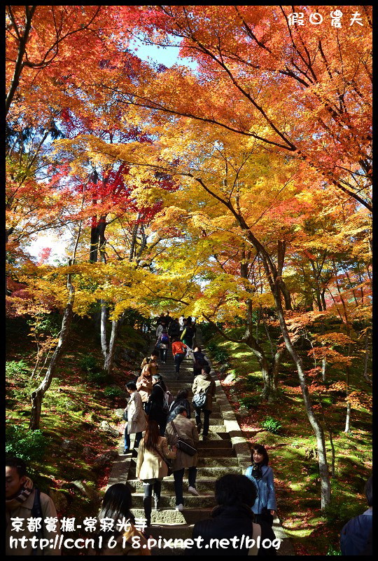 【日本旅遊】京都大阪賞楓自由行‧嵐山常寂光寺‧楓華絕代 @假日農夫愛趴趴照