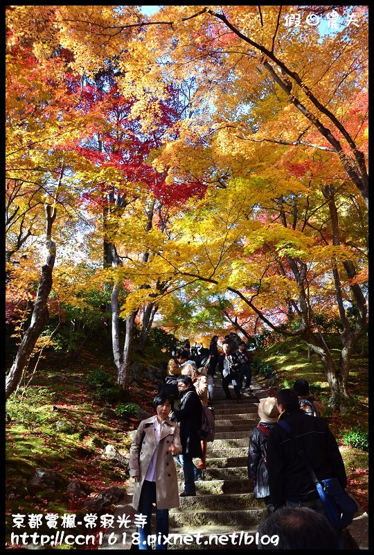 【日本旅遊】京都大阪賞楓自由行‧嵐山常寂光寺‧楓華絕代 @假日農夫愛趴趴照