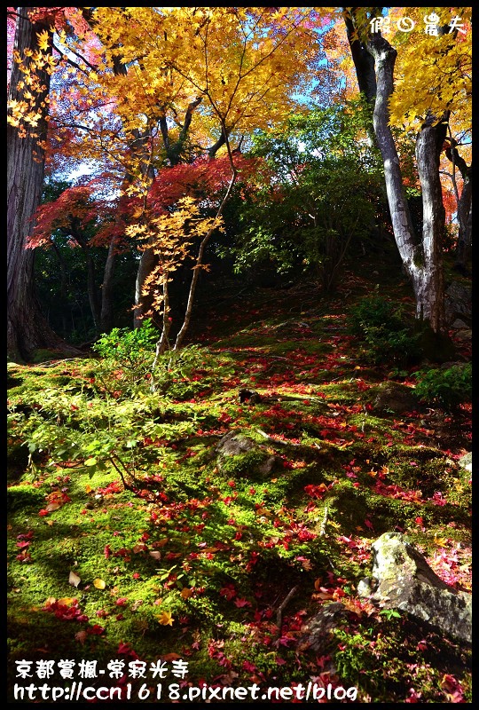 【日本旅遊】京都大阪賞楓自由行‧嵐山常寂光寺‧楓華絕代 @假日農夫愛趴趴照