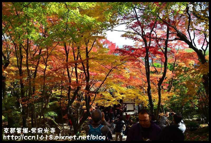 【日本旅遊】京都大阪賞楓自由行‧嵐山常寂光寺‧楓華絕代 @假日農夫愛趴趴照