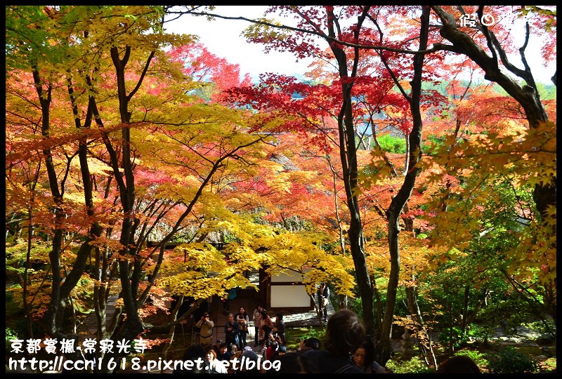 【日本旅遊】京都大阪賞楓自由行‧嵐山常寂光寺‧楓華絕代 @假日農夫愛趴趴照