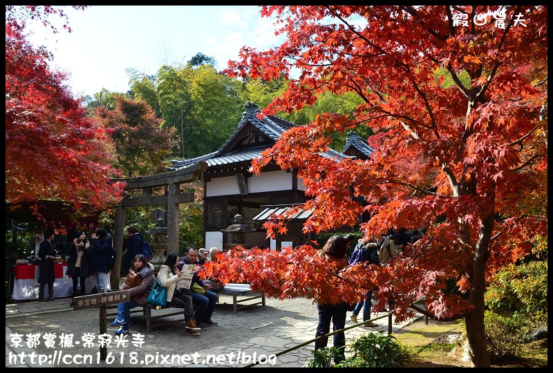 【日本旅遊】京都大阪賞楓自由行‧嵐山常寂光寺‧楓華絕代 @假日農夫愛趴趴照