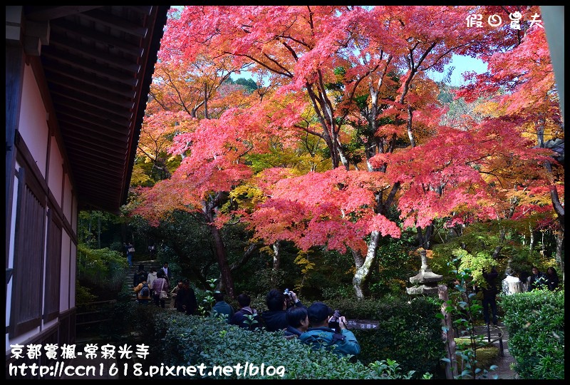 【日本旅遊】京都大阪賞楓自由行‧嵐山常寂光寺‧楓華絕代 @假日農夫愛趴趴照