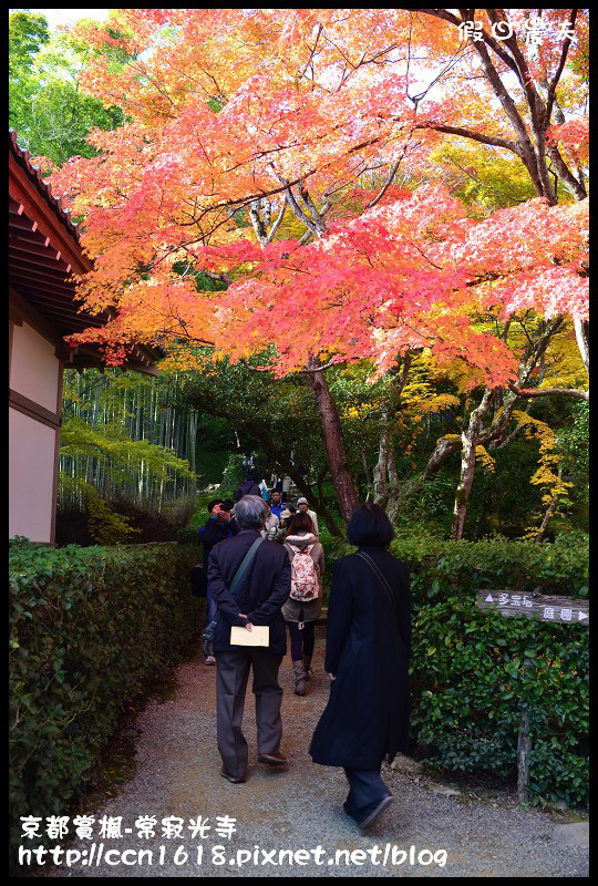 【日本旅遊】京都大阪賞楓自由行‧嵐山常寂光寺‧楓華絕代 @假日農夫愛趴趴照