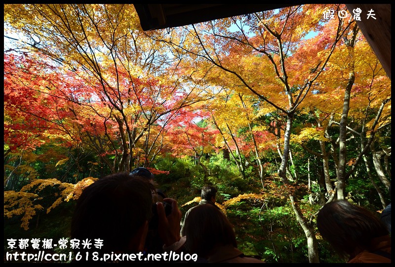 【日本旅遊】京都大阪賞楓自由行‧嵐山常寂光寺‧楓華絕代 @假日農夫愛趴趴照