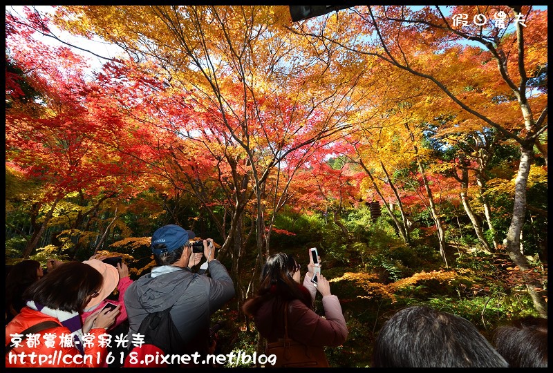 【日本旅遊】京都大阪賞楓自由行‧嵐山常寂光寺‧楓華絕代 @假日農夫愛趴趴照