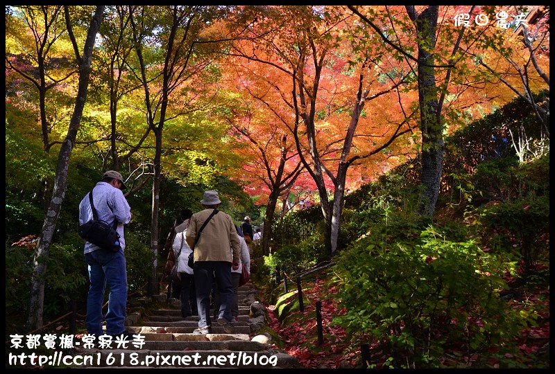 【日本旅遊】京都大阪賞楓自由行‧嵐山常寂光寺‧楓華絕代 @假日農夫愛趴趴照