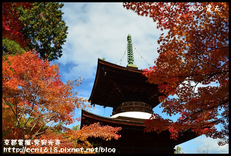 【日本旅遊】京都大阪賞楓自由行‧嵐山常寂光寺‧楓華絕代 @假日農夫愛趴趴照