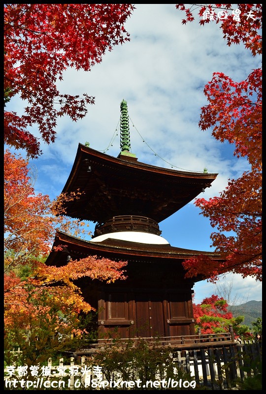 【日本旅遊】京都大阪賞楓自由行‧嵐山常寂光寺‧楓華絕代 @假日農夫愛趴趴照