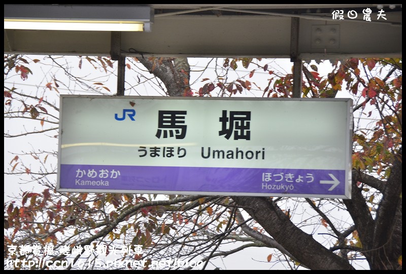 【日本旅遊】京都大阪賞楓自由行‧嵐山嵯峨野トロッコ觀光列車‧楓光明媚 @假日農夫愛趴趴照