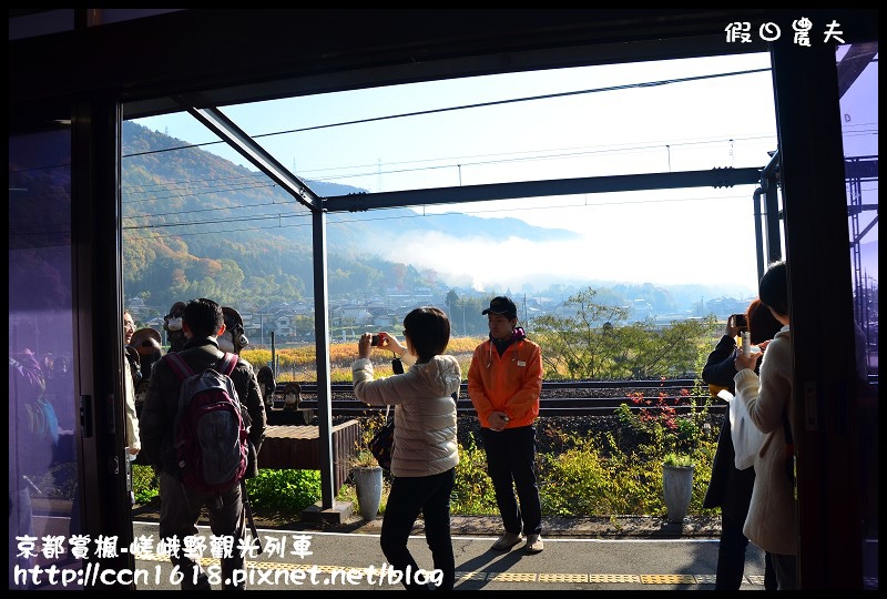 【日本旅遊】京都大阪賞楓自由行‧嵐山嵯峨野トロッコ觀光列車‧楓光明媚 @假日農夫愛趴趴照