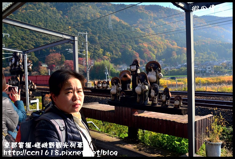 【日本旅遊】京都大阪賞楓自由行‧嵐山嵯峨野トロッコ觀光列車‧楓光明媚 @假日農夫愛趴趴照