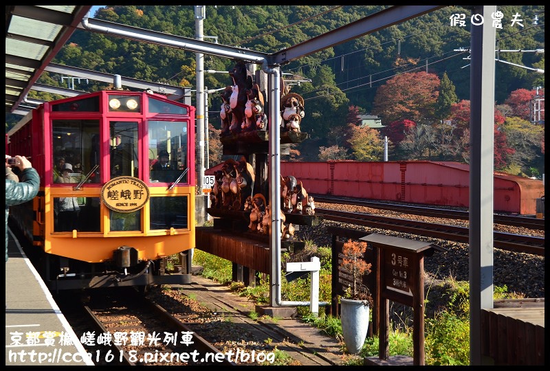 【日本旅遊】京都大阪賞楓自由行‧嵐山嵯峨野トロッコ觀光列車‧楓光明媚 @假日農夫愛趴趴照