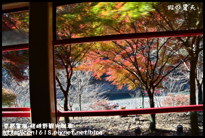 【日本旅遊】京都大阪賞楓自由行‧嵐山嵯峨野トロッコ觀光列車‧楓光明媚 @假日農夫愛趴趴照