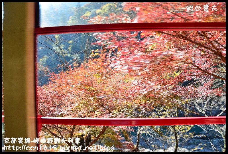 【日本旅遊】京都大阪賞楓自由行‧嵐山嵯峨野トロッコ觀光列車‧楓光明媚 @假日農夫愛趴趴照