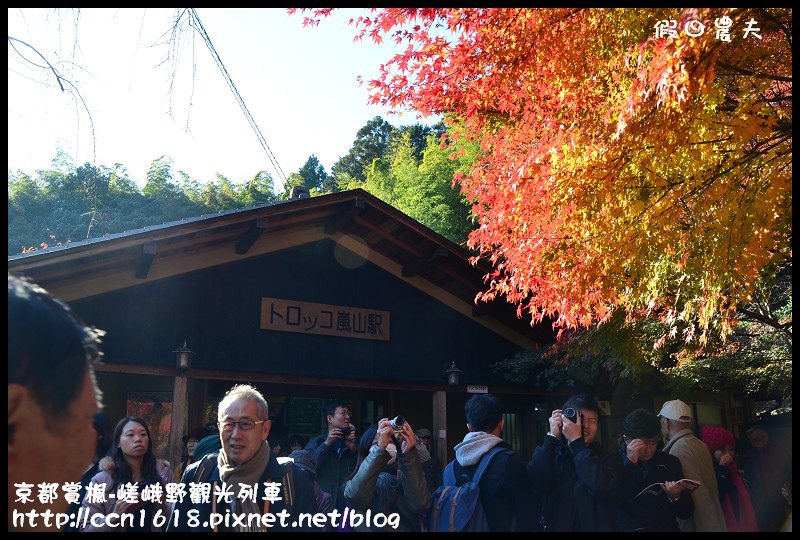 【日本旅遊】京都大阪賞楓自由行‧嵐山嵯峨野トロッコ觀光列車‧楓光明媚 @假日農夫愛趴趴照