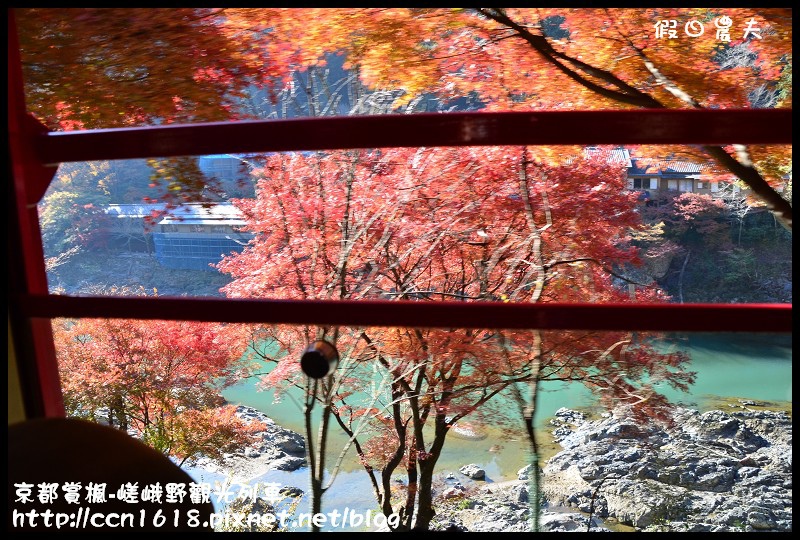 【日本旅遊】京都大阪賞楓自由行‧嵐山嵯峨野トロッコ觀光列車‧楓光明媚 @假日農夫愛趴趴照