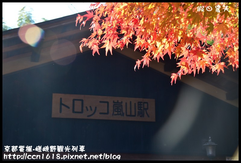 【日本旅遊】京都大阪賞楓自由行‧嵐山嵯峨野トロッコ觀光列車‧楓光明媚 @假日農夫愛趴趴照