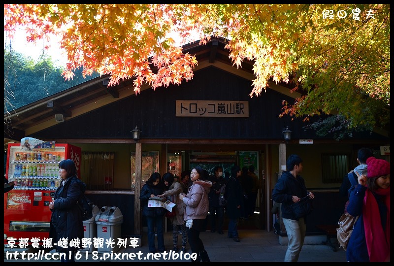 【日本旅遊】京都大阪賞楓自由行‧嵐山嵯峨野トロッコ觀光列車‧楓光明媚 @假日農夫愛趴趴照