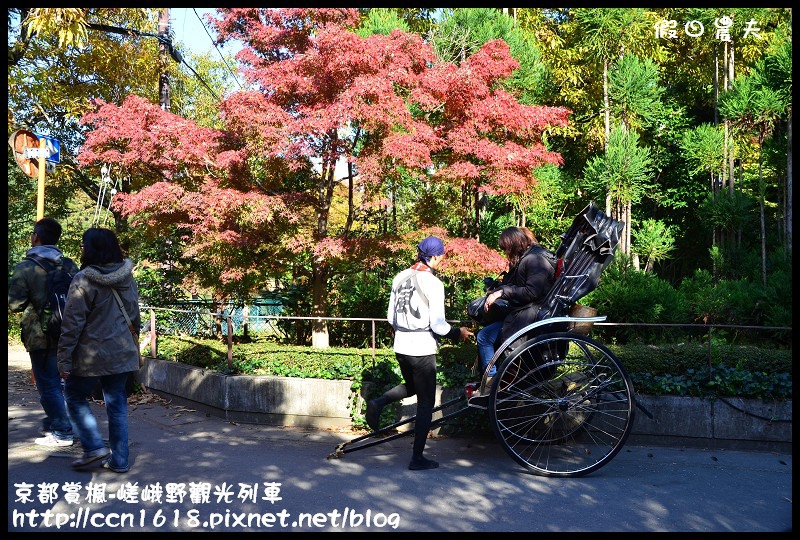 【日本旅遊】京都大阪賞楓自由行‧嵐山嵯峨野トロッコ觀光列車‧楓光明媚 @假日農夫愛趴趴照