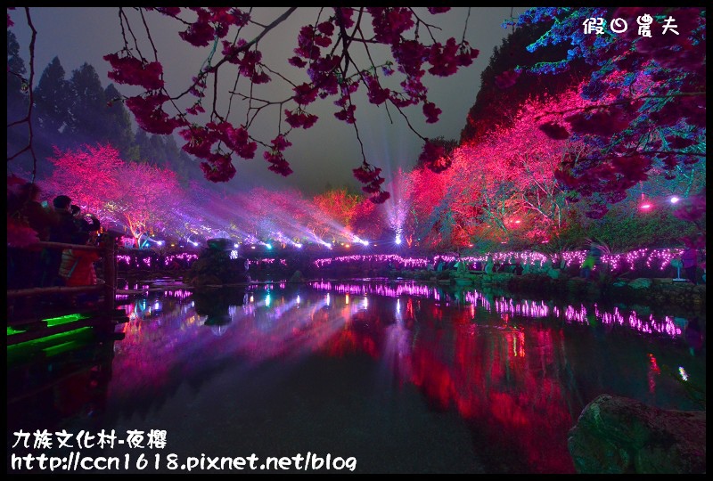 【農夫愛賞花】2014九族櫻花祭‧九族文化村櫻花滿開-夜櫻篇(賞櫻5) @假日農夫愛趴趴照