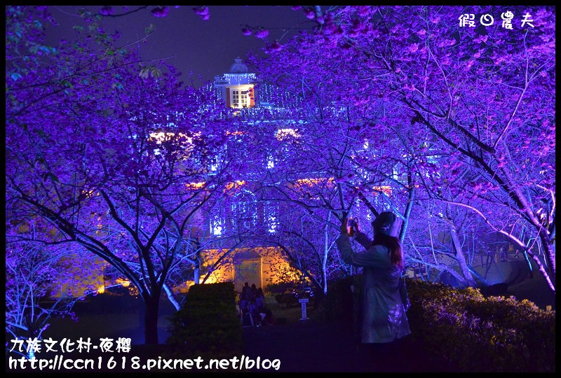 【農夫愛賞花】2014九族櫻花祭‧九族文化村櫻花滿開-夜櫻篇(賞櫻5) @假日農夫愛趴趴照