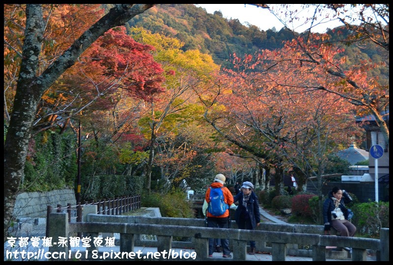 【日本旅遊】京都大阪賞楓自由行‧永觀堂夜楓‧楓韻猶存 @假日農夫愛趴趴照