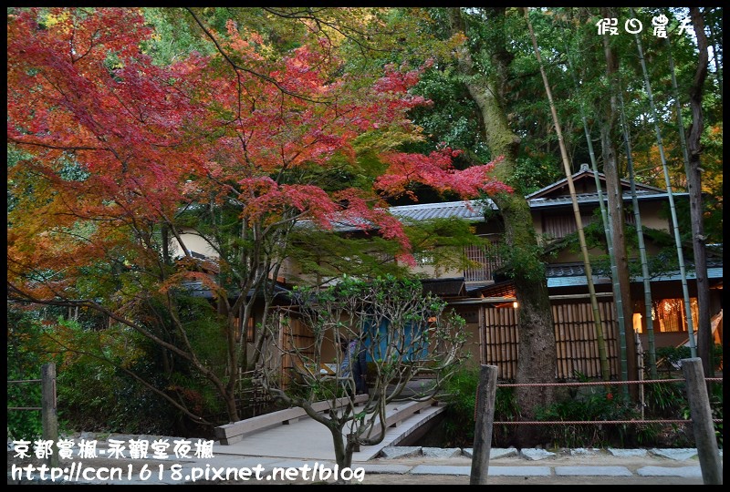 【日本旅遊】京都大阪賞楓自由行‧永觀堂夜楓‧楓韻猶存 @假日農夫愛趴趴照